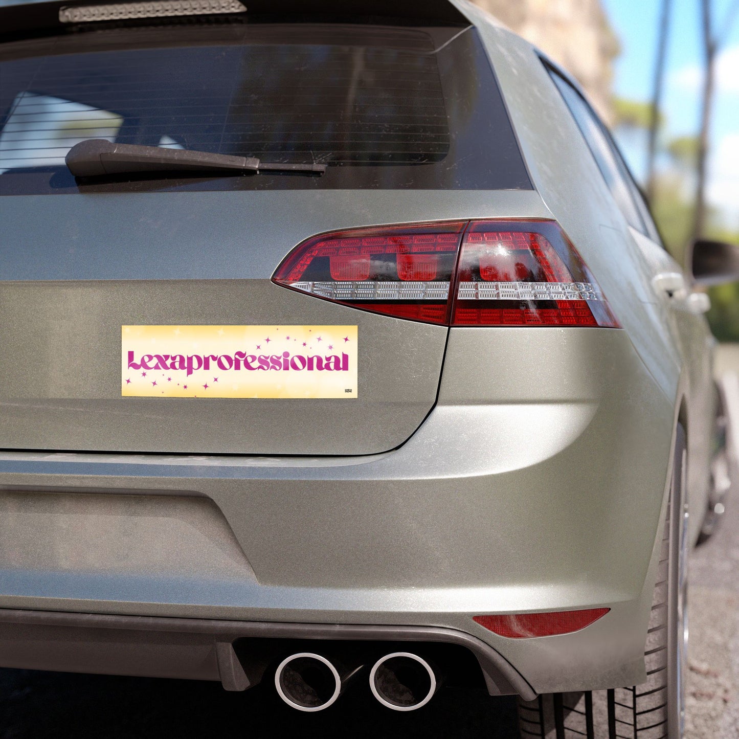 Lexaprofessional Car Magnet